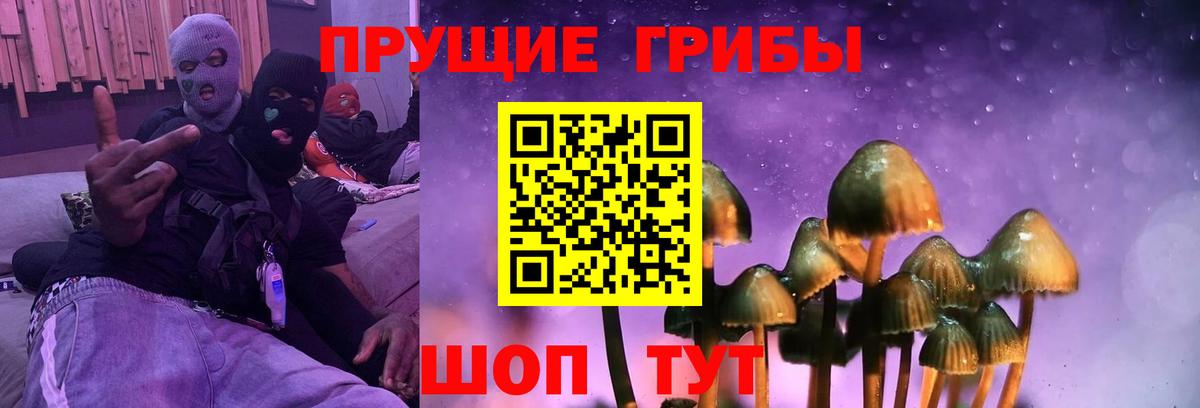Галлюциногенные грибы мухоморы Юрга
